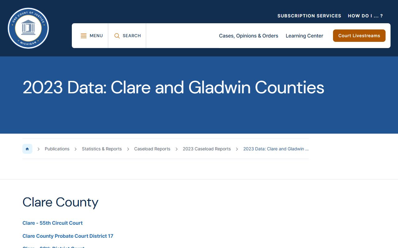 Gladwin County court dockets Clare and Gladwin caseload report